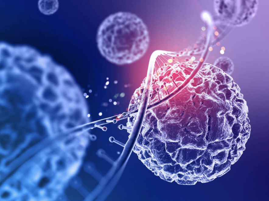 METABOLISMO E OBESIDADE